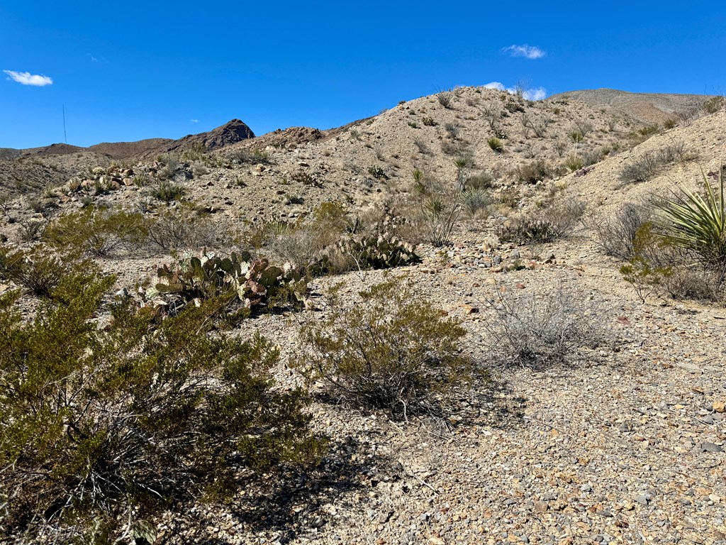 TR 707 Private Rd, Terlingua, Texas image 14