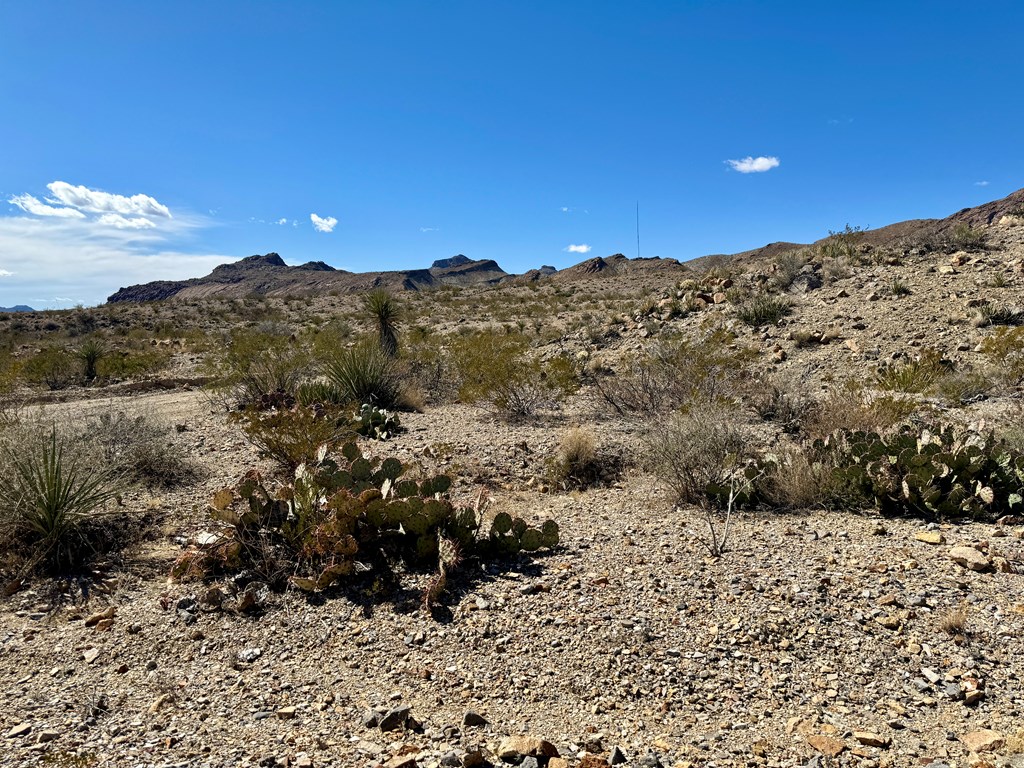 TR 707 Private Rd, Terlingua, Texas image 12