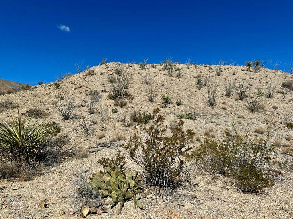 TR 707 Private Rd, Terlingua, Texas image 13