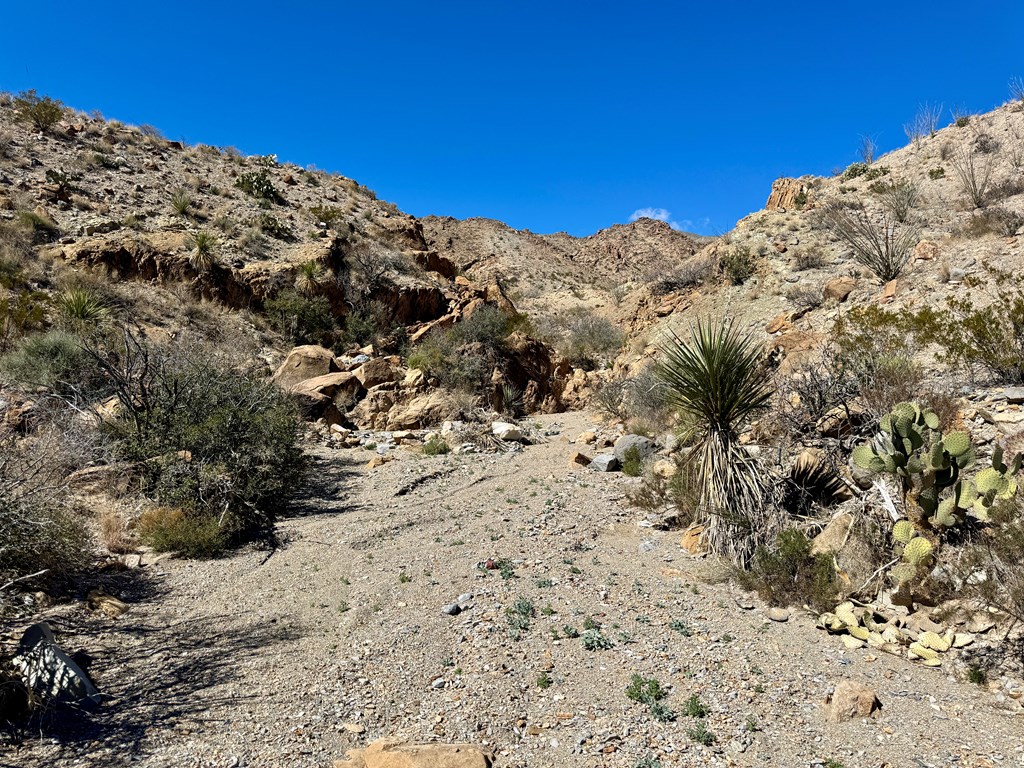 TR 707 Private Rd, Terlingua, Texas image 6