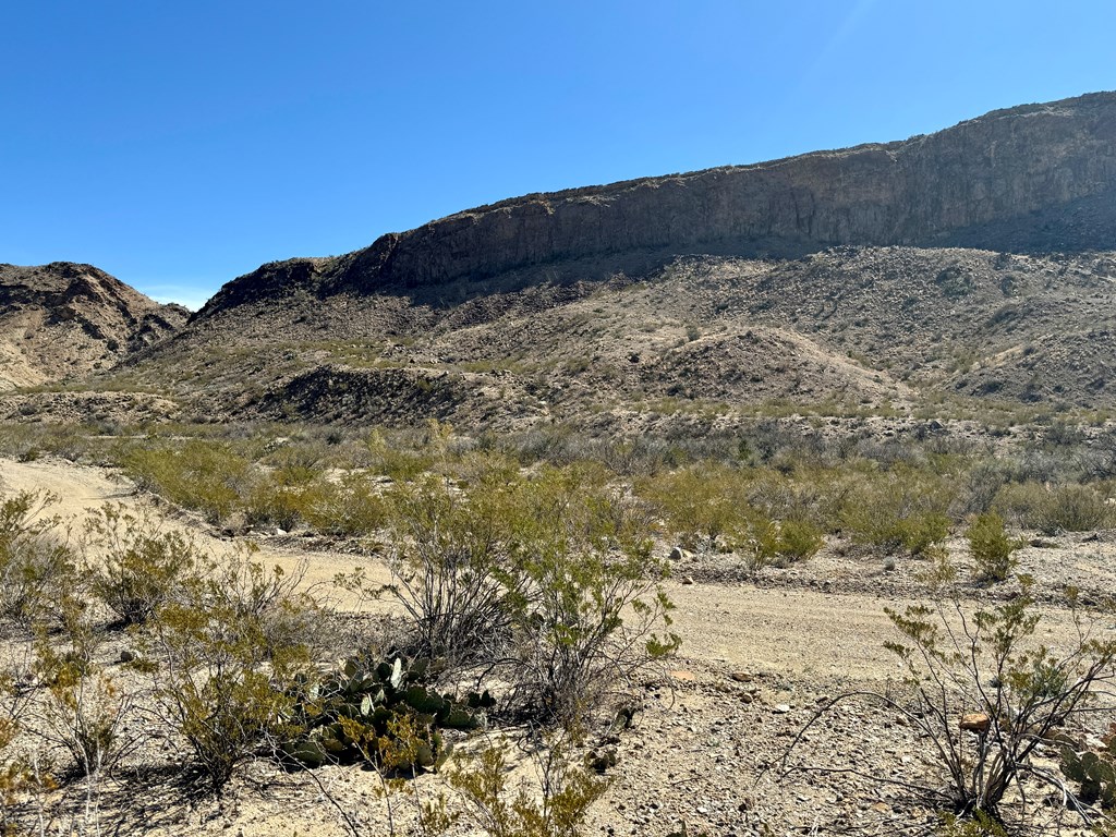 TR 707 Private Rd, Terlingua, Texas image 11