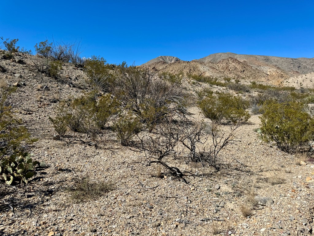 TR 707 Private Rd, Terlingua, Texas image 2