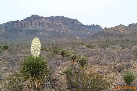 None, Van Horn, Texas image 1