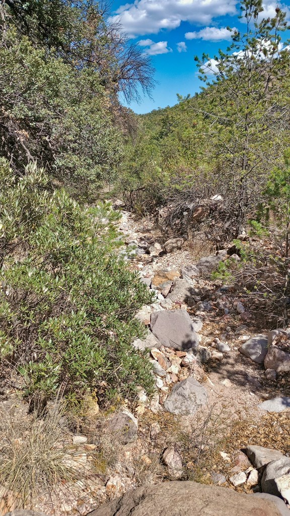 311 Colleen Canyon Trail, Fort Davis, Texas image 14