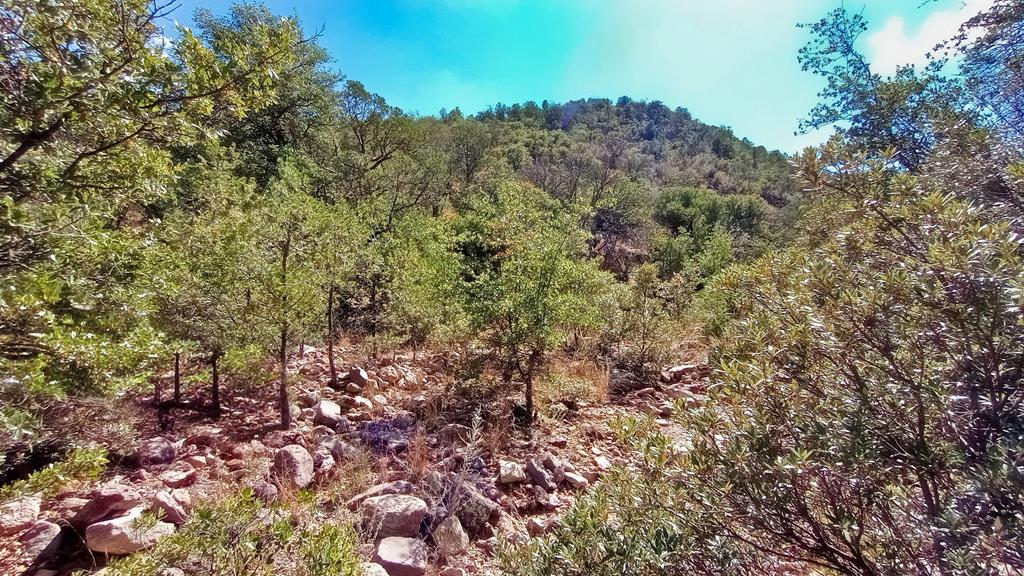 311 Colleen Canyon Trail, Fort Davis, Texas image 1