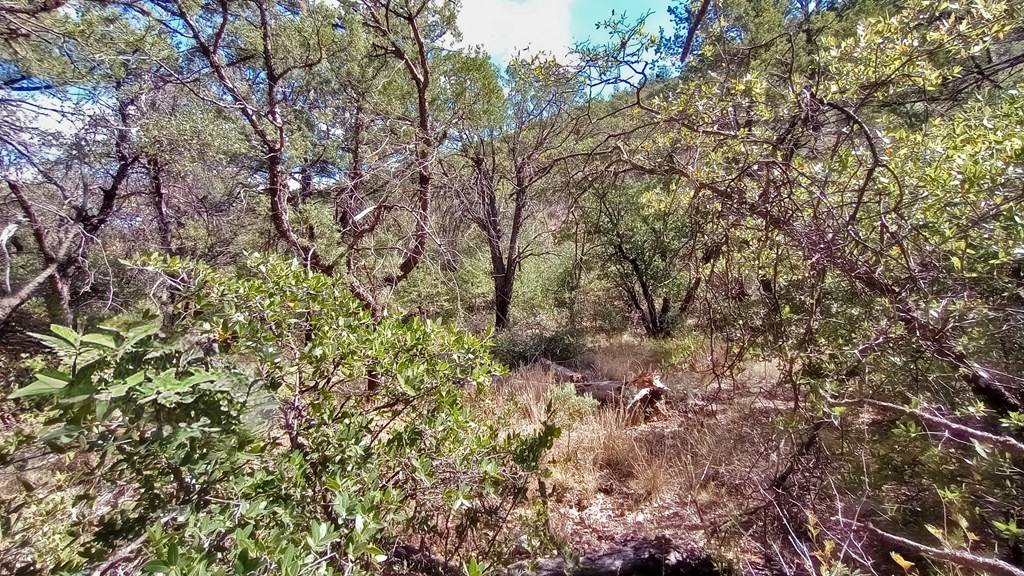 311 Colleen Canyon Trail, Fort Davis, Texas image 2