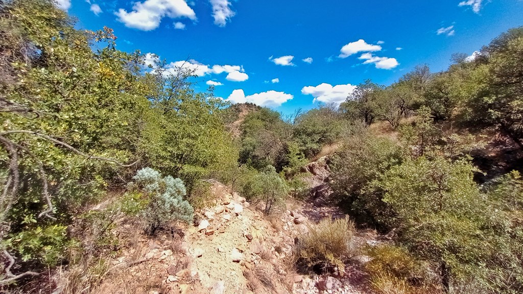 311 Colleen Canyon Trail, Fort Davis, Texas image 9