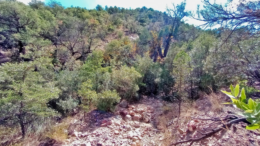 311 Colleen Canyon Trail, Fort Davis, Texas image 7