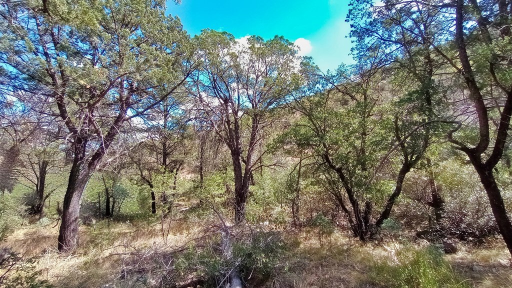 311 Colleen Canyon Trail, Fort Davis, Texas image 4