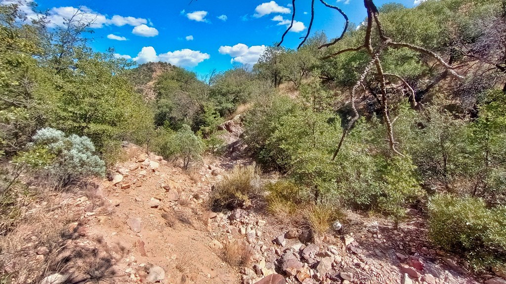 311 Colleen Canyon Trail, Fort Davis, Texas image 8