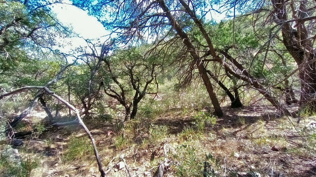 311 Colleen Canyon Trail, Fort Davis, Texas image 12