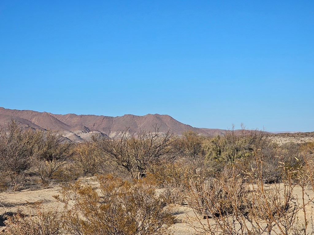 Tr 8281 Rocking L Ranch Rd, Terlingua, Texas image 21