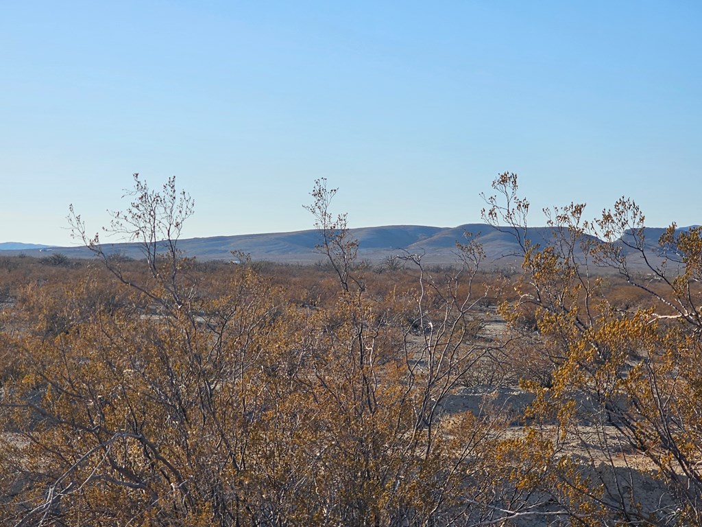 Tr 8281 Rocking L Ranch Rd, Terlingua, Texas image 25