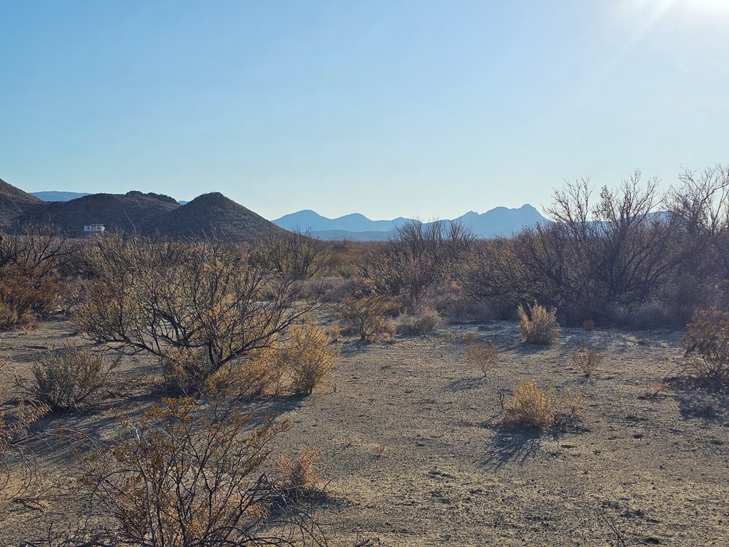 Tr 8281 Rocking L Ranch Rd, Terlingua, Texas image 14