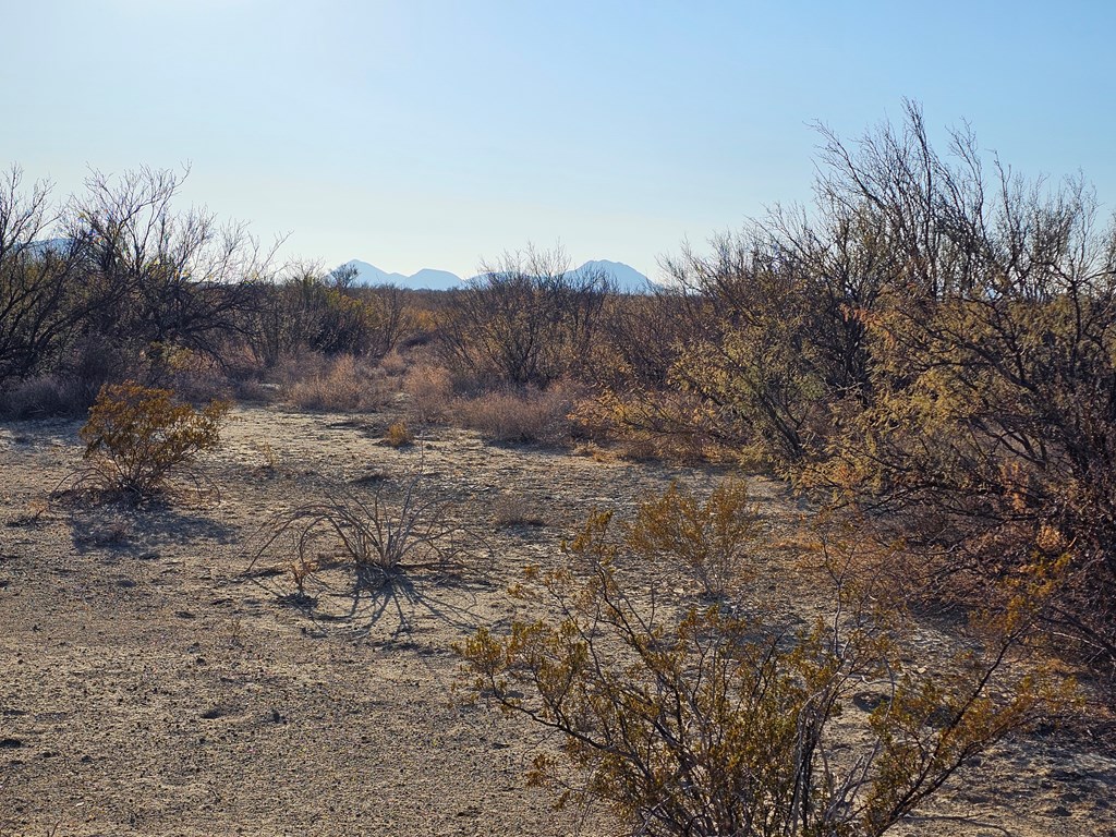 Tr 8281 Rocking L Ranch Rd, Terlingua, Texas image 13