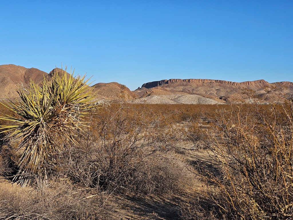 Tr 8281 Rocking L Ranch Rd, Terlingua, Texas image 6