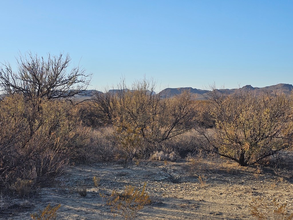 Tr 8281 Rocking L Ranch Rd, Terlingua, Texas image 12