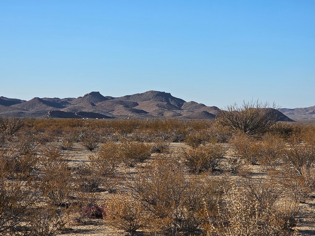 Tr 8281 Rocking L Ranch Rd, Terlingua, Texas image 24