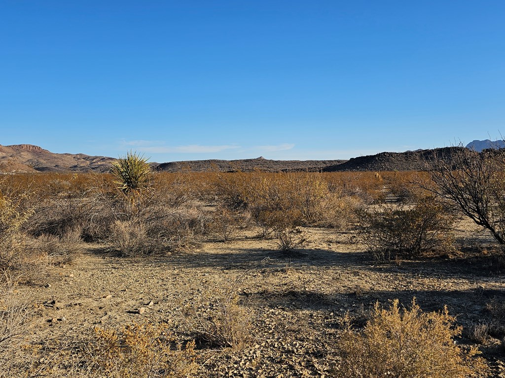 Tr 8281 Rocking L Ranch Rd, Terlingua, Texas image 17