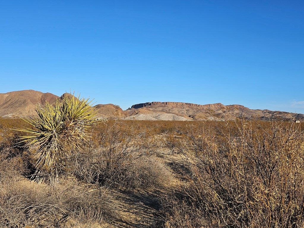 Tr 8281 Rocking L Ranch Rd, Terlingua, Texas image 15