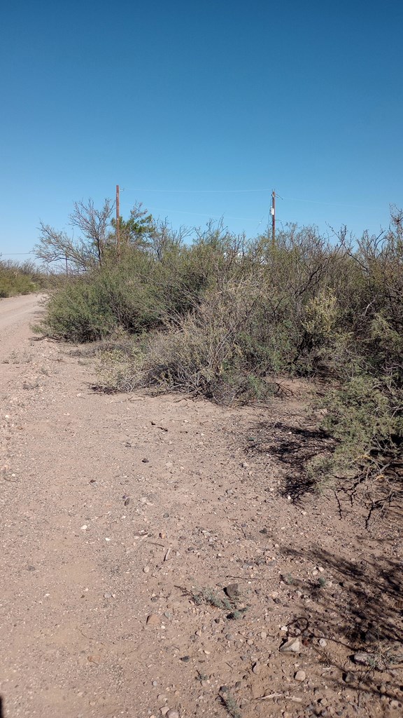 107 N Main Avenue, Valentine, Texas image 8