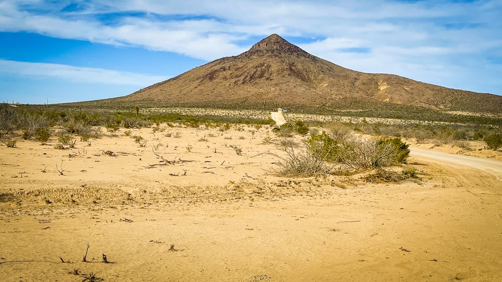 15477 San Antonio Ave, Terlingua, Texas image 7