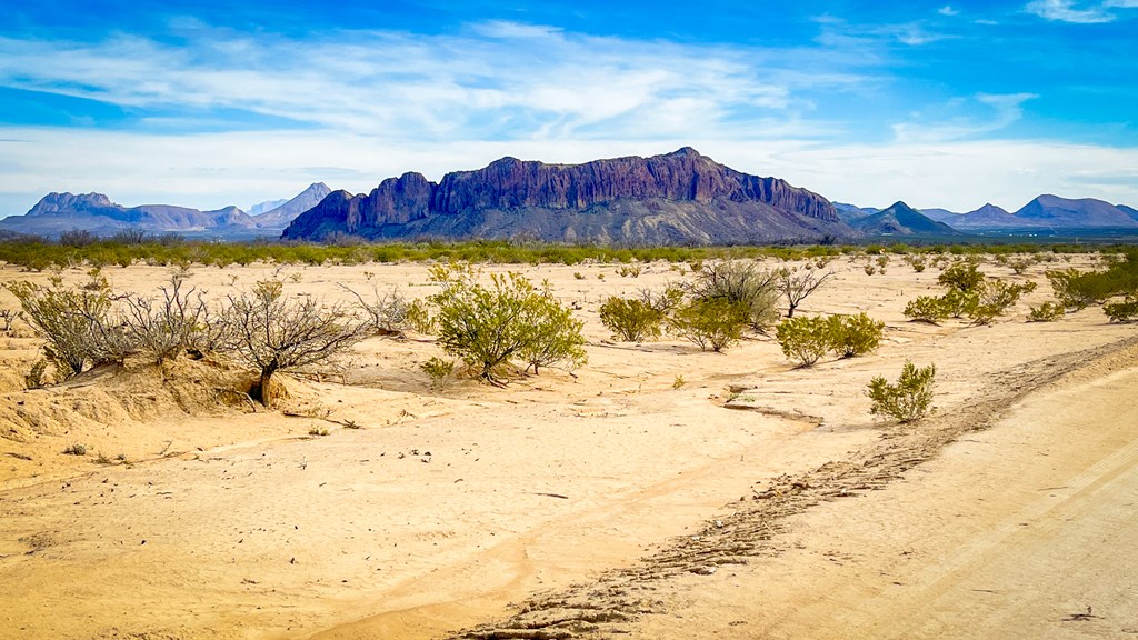 15466 San Antonio Ave, Terlingua, Texas image 6