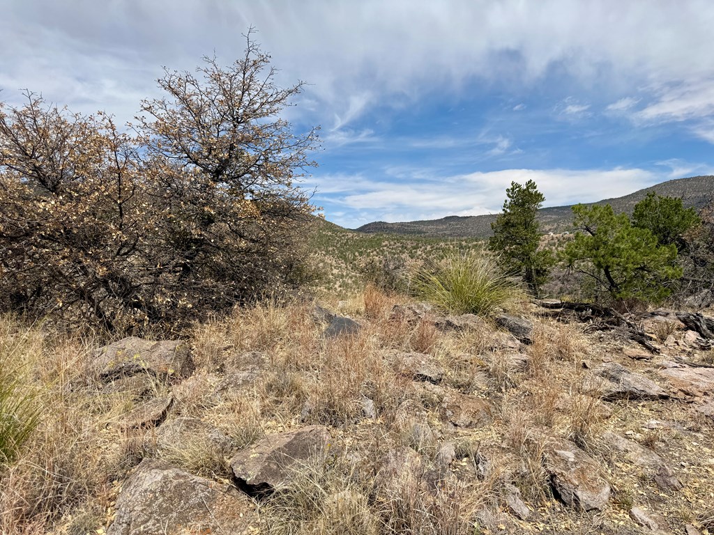 103 Ponderosa Crest Trail, Fort Davis, Texas image 12
