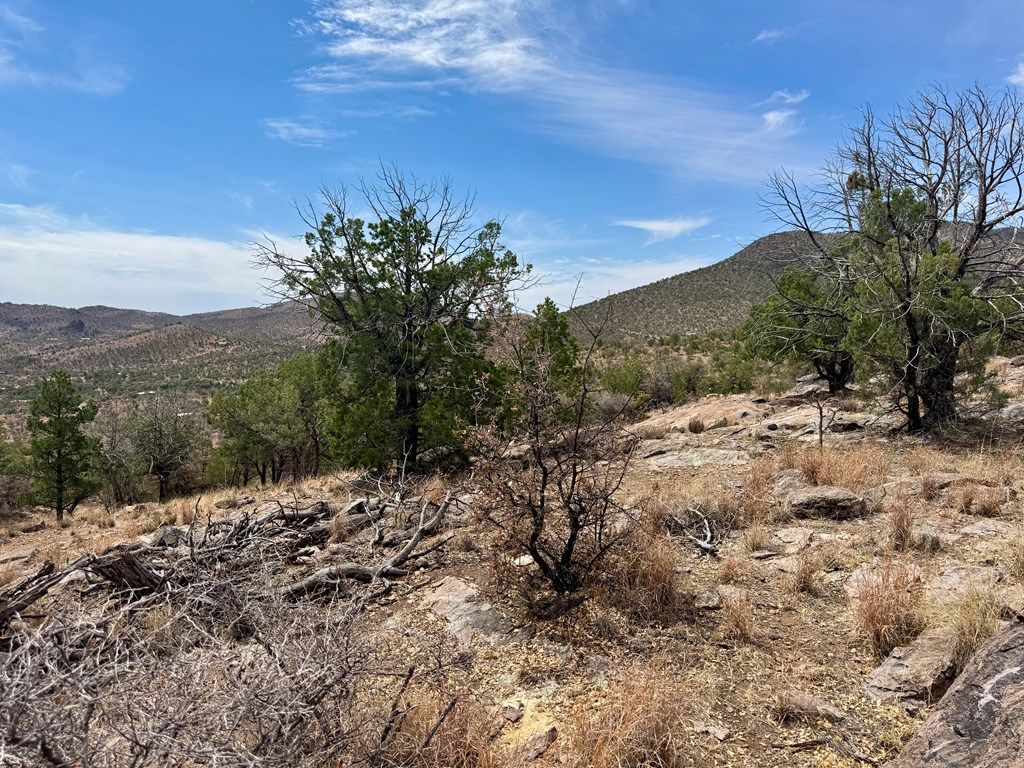 103 Ponderosa Crest Trail, Fort Davis, Texas image 13