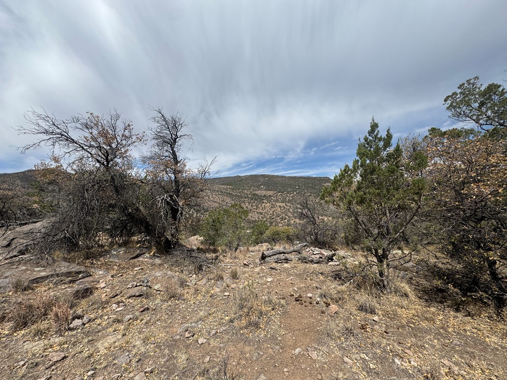 103 Ponderosa Crest Trail, Fort Davis, Texas image 4