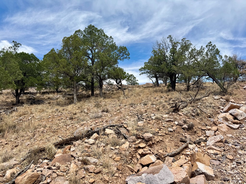 103 Ponderosa Crest Trail, Fort Davis, Texas image 14