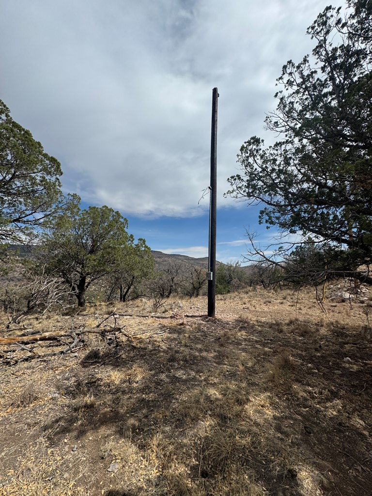 103 Ponderosa Crest Trail, Fort Davis, Texas image 2