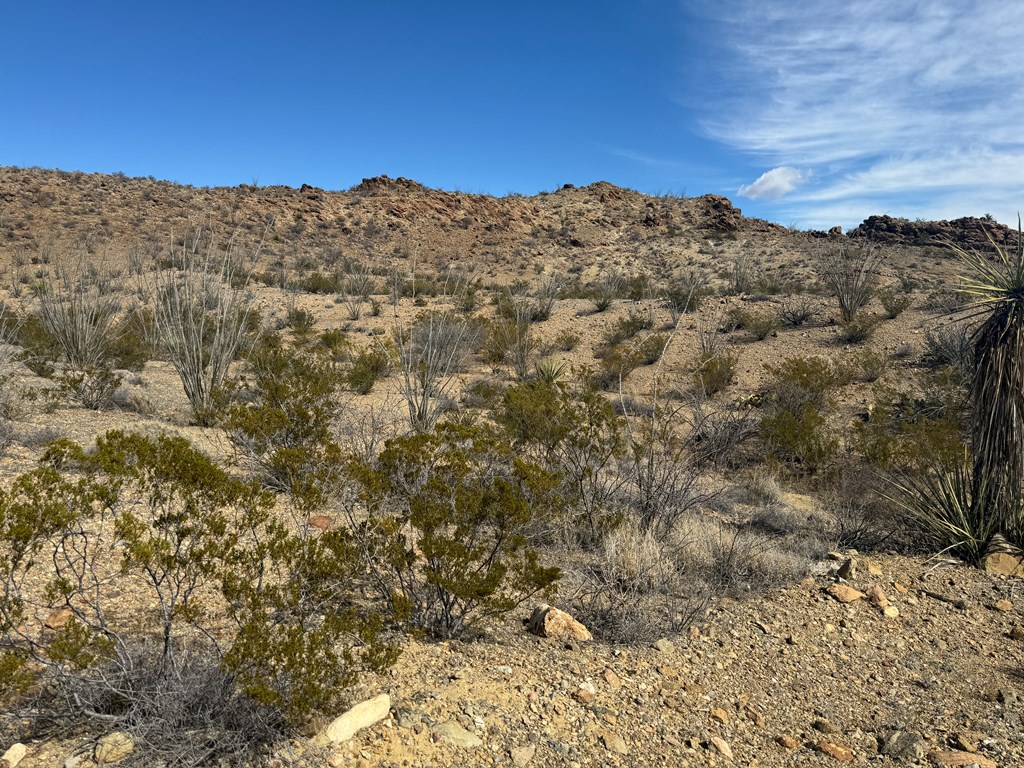 1273 Private Rd, Terlingua, Texas image 23