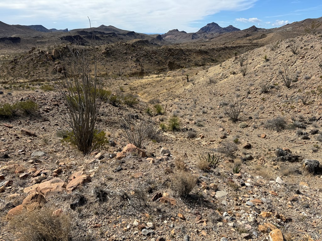 1273 Private Rd, Terlingua, Texas image 16