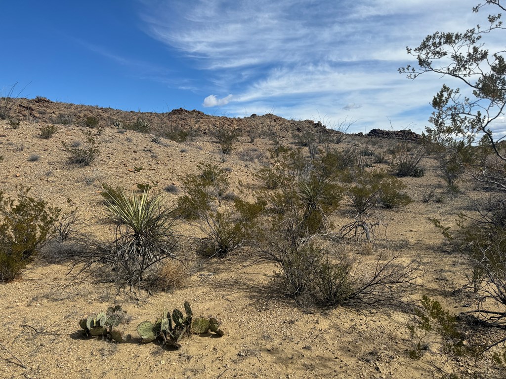 1273 Private Rd, Terlingua, Texas image 20