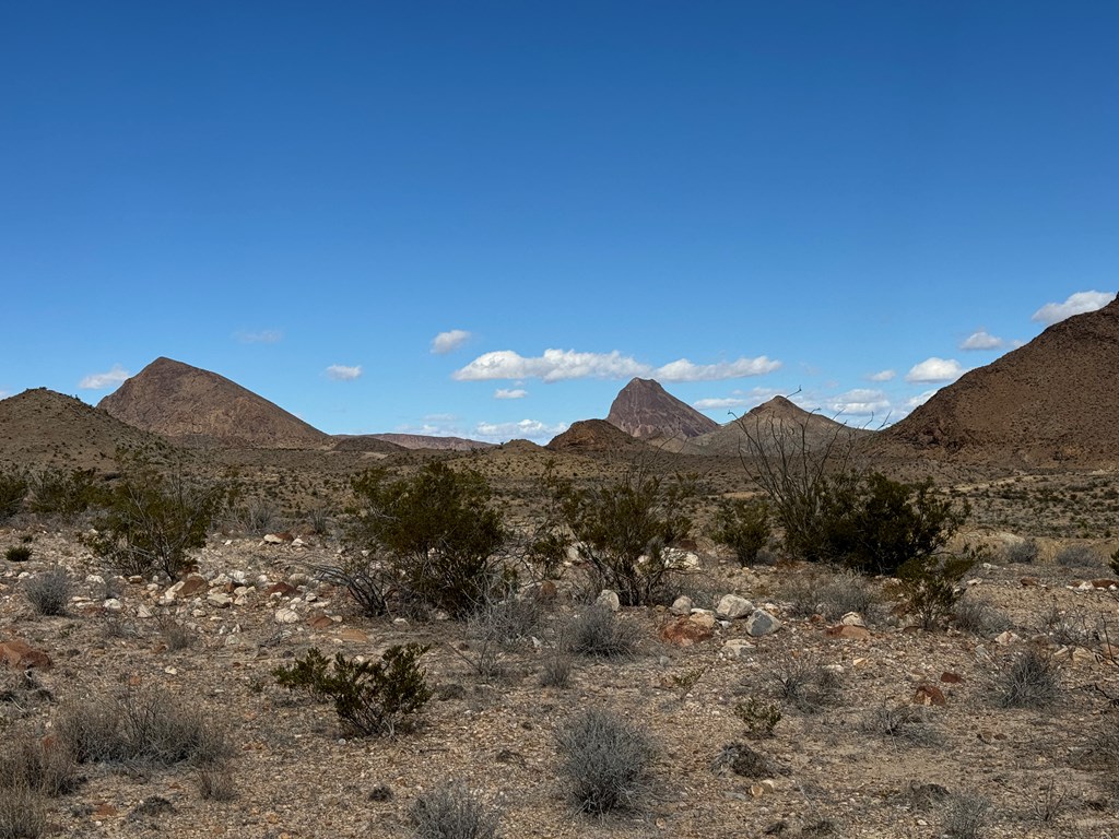 1273 Private Rd, Terlingua, Texas image 17