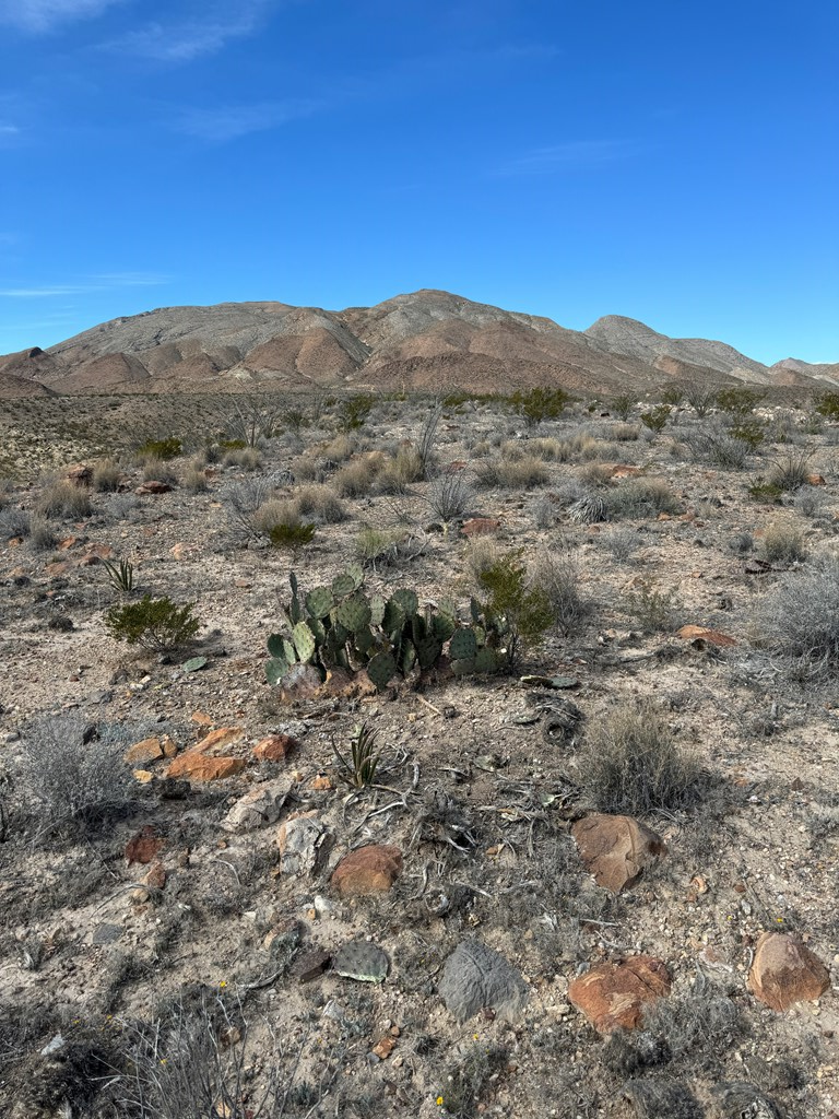 1273 Private Rd, Terlingua, Texas image 10