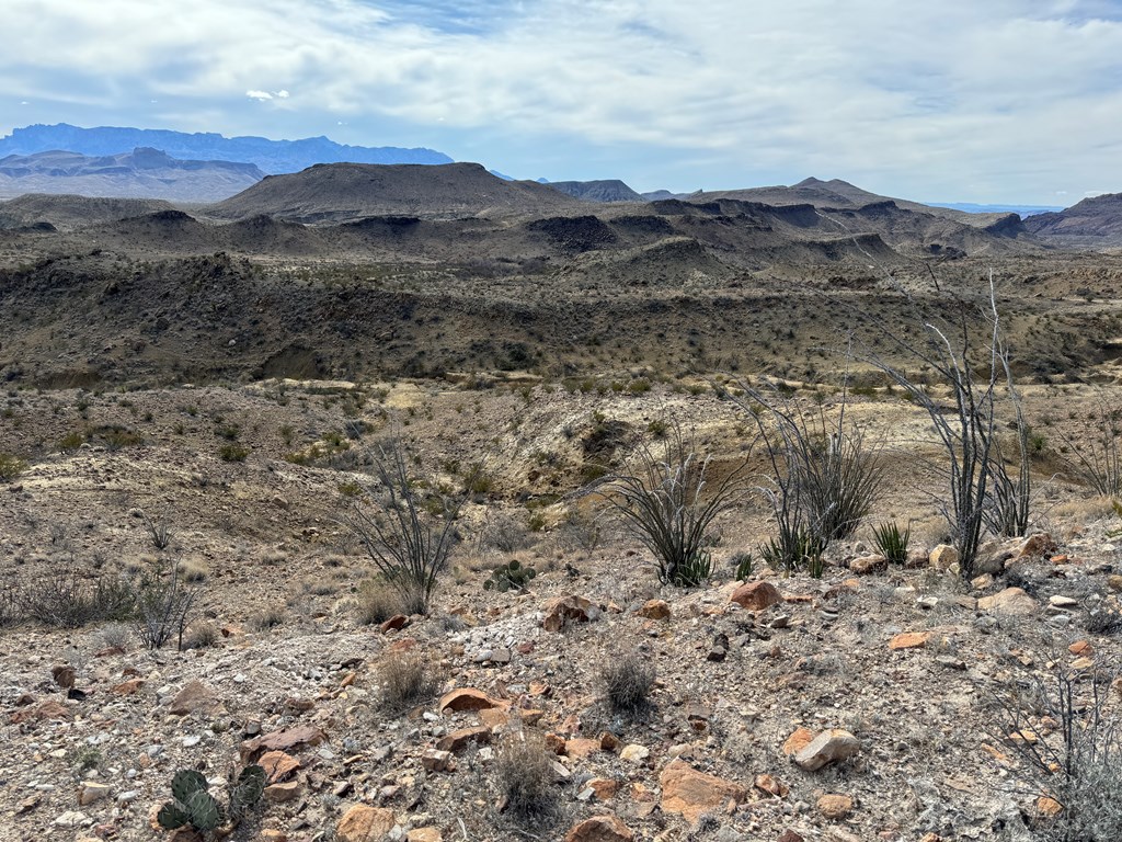 1273 Private Rd, Terlingua, Texas image 5