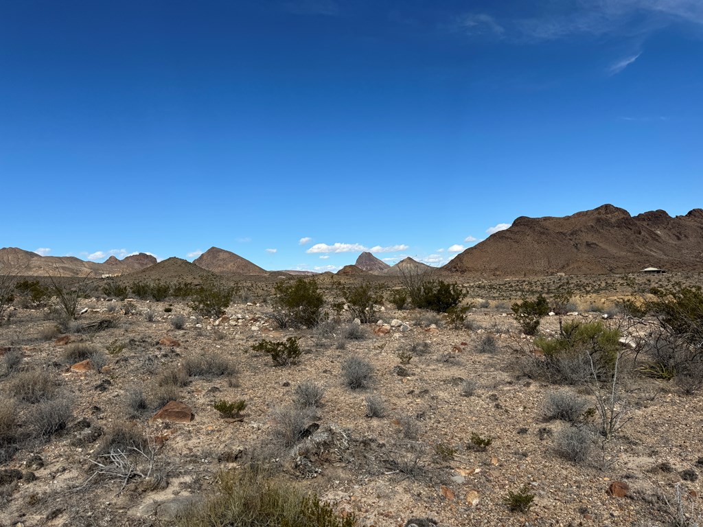 1273 Private Rd, Terlingua, Texas image 8