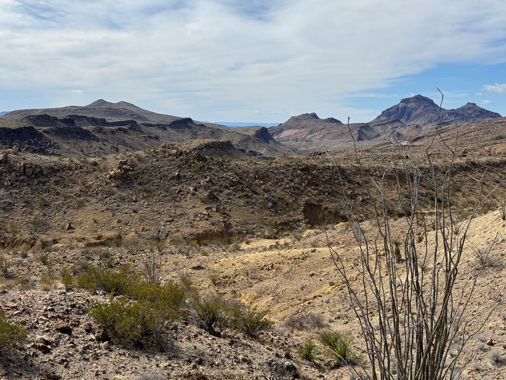 1273 Private Rd, Terlingua, Texas image 15