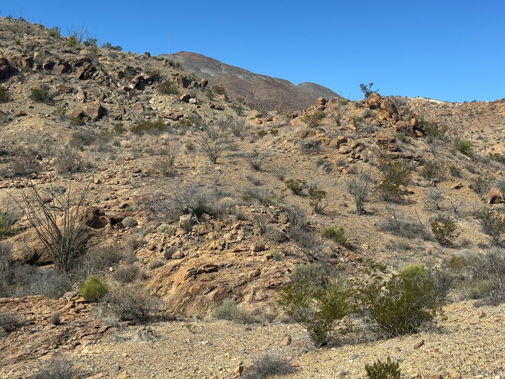 1273 Private Rd, Terlingua, Texas image 31