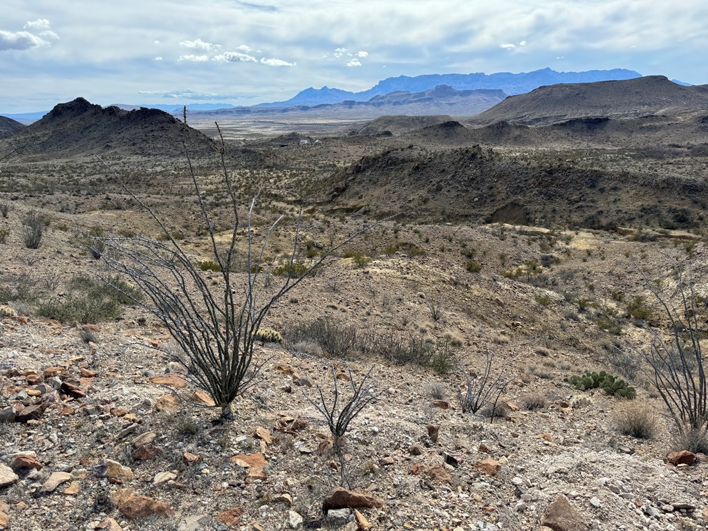 1273 Private Rd, Terlingua, Texas image 4