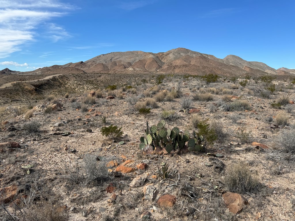 1273 Private Rd, Terlingua, Texas image 9