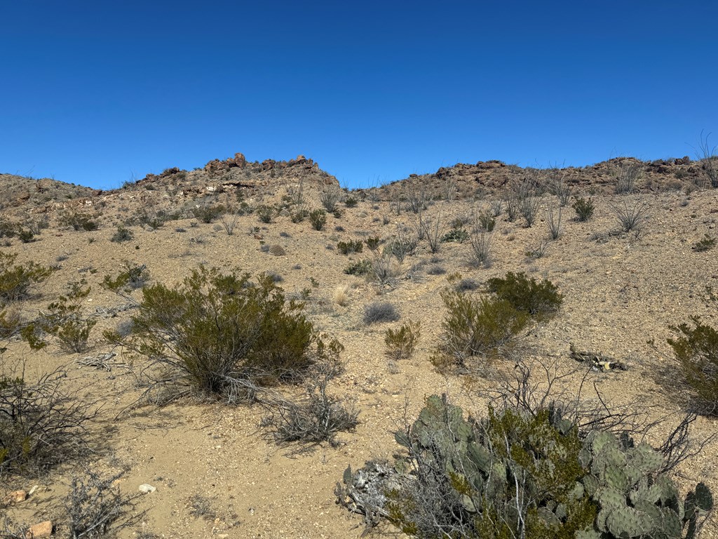 1273 Private Rd, Terlingua, Texas image 19