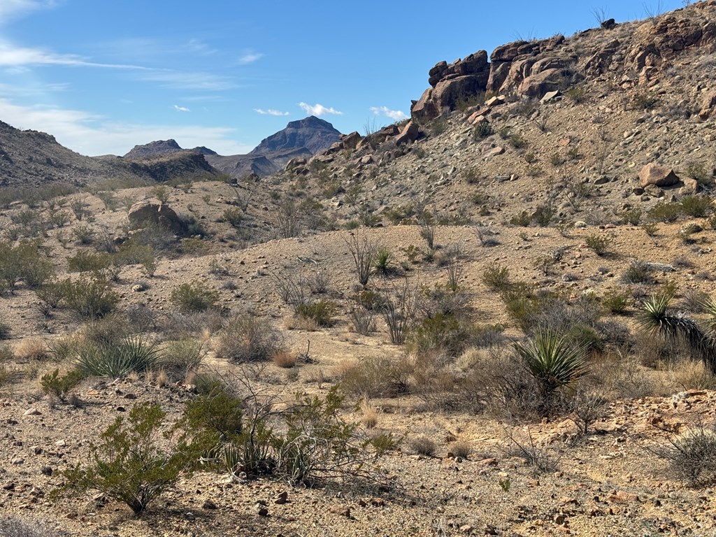 1273 Private Rd, Terlingua, Texas image 32