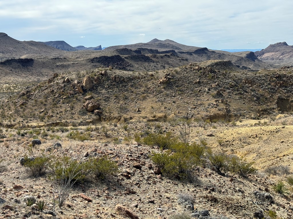 1273 Private Rd, Terlingua, Texas image 14