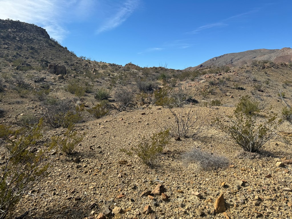 1273 Private Rd, Terlingua, Texas image 26