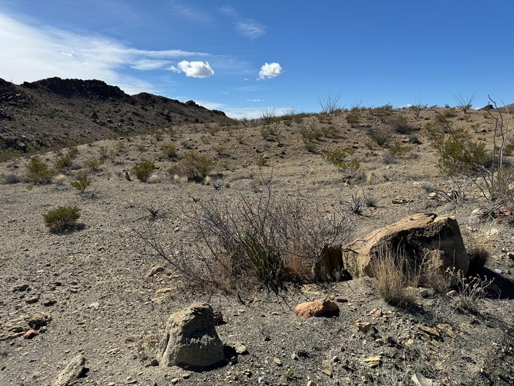 1273 Private Rd, Terlingua, Texas image 33