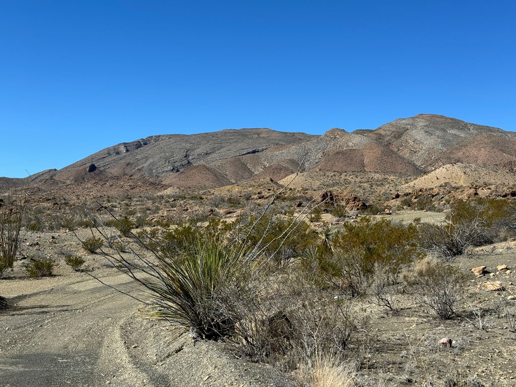 1273 Private Rd, Terlingua, Texas image 34