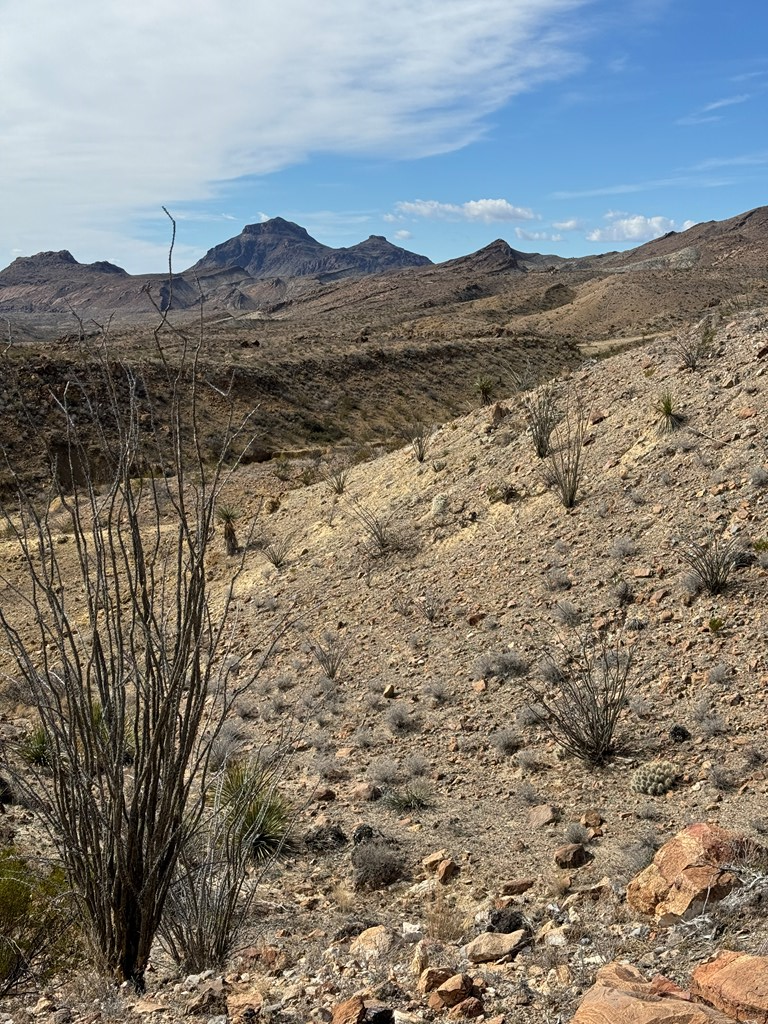 1273 Private Rd, Terlingua, Texas image 13